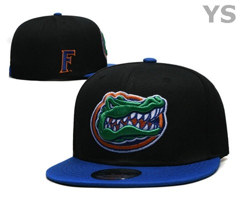 NCAA Florida Gators Snapback Hat (31)