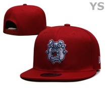 NCAA Georgia Bulldogs Snapback Hat (8)