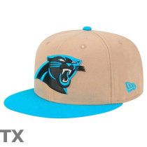 NFL Carolina Panthers Snapback Hat (236)