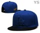MLB Los Angeles Dodgers Snapback Hat (440)