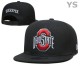 NCAA Ohio State Buckeyes Snapback Hat (3)