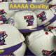MLB Texas Rangers Hat (67)