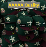 NHL Dallas Stars Hat (2)