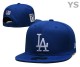MLB Los Angeles Dodgers Snapback Hat (439)