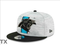 NFL Carolina Panthers Snapback Hat (235)