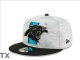 NFL Carolina Panthers Snapback Hat (235)