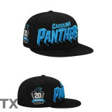 NFL Carolina Panthers Snapback Hat (234)