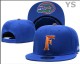 NCAA Florida Gators Snapback Hat (32)