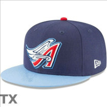 MLB Los Angeles Dodgers Snapback Hat (447)