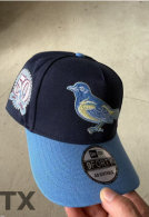 MLB St Louis Cardinals Snapback Hat (97)