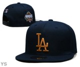MLB Los Angeles Dodgers Snapback Hat (451)
