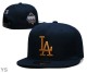 MLB Los Angeles Dodgers Snapback Hat (451)