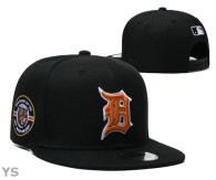 MLB Detroit Tigers Snapback Hat (76)