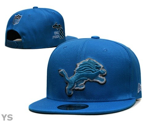 NFL Detroit Lions Snapback Hat (115)