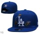 MLB Los Angeles Dodgers Snapback Hat (448)