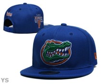 NCAA Florida Gators Snapback Hat (33)