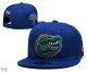 NCAA Florida Gators Snapback Hat (33)