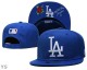 MLB Los Angeles Dodgers Snapback Hat (450)
