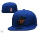 NCAA Florida Gators Snapback Hat (34)