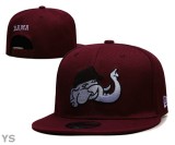 NCAA Snapback Hat (1)