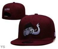 NCAA Snapback Hat (1)