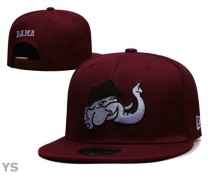 NCAA Snapback Hat (1)