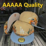 Los Angeles Dodgers 59FIFTY Hat (183)