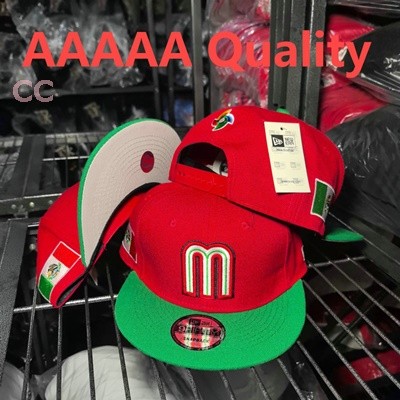 Mexico Snapback Hat (29)