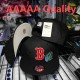 MLB Boston Red Sox Snapback Hats (176)