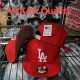 MLB Los Angeles Dodgers Snapback Hat (486)