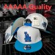 MLB Los Angeles Dodgers Snapback Hat (453)