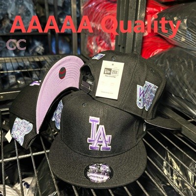 MLB Los Angeles Dodgers Snapback Hat (495)