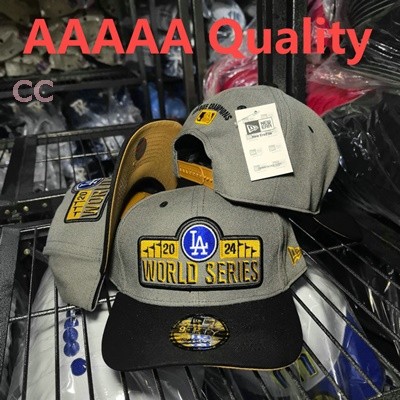 MLB Los Angeles Dodgers Snapback Hat (471)