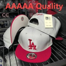 MLB Los Angeles Dodgers Snapback Hat (485)