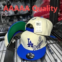 MLB Los Angeles Dodgers Snapback Hat (483)