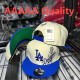 MLB Los Angeles Dodgers Snapback Hat (483)