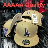 MLB Los Angeles Dodgers Snapback Hat (494)