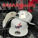 MLB Los Angeles Dodgers Snapback Hat (463)