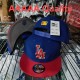 MLB Los Angeles Dodgers Snapback Hat (497)