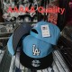MLB Los Angeles Dodgers Snapback Hat (484)