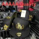 MLB Los Angeles Dodgers Snapback Hat (460)