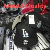 MLB Los Angeles Dodgers Snapback Hat (459)