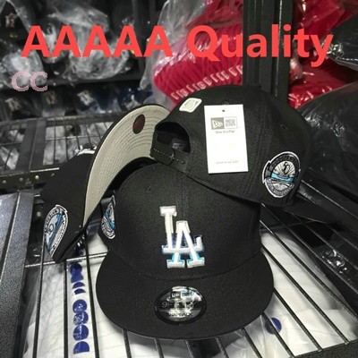 MLB Los Angeles Dodgers Snapback Hat (459)