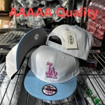 MLB Los Angeles Dodgers Snapback Hat (465)