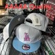 MLB Los Angeles Dodgers Snapback Hat (465)