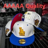 MLB Los Angeles Dodgers Snapback Hat (455)