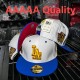 MLB Los Angeles Dodgers Snapback Hat (455)