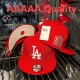 MLB Los Angeles Dodgers Snapback Hat (499)