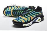Nike Air Max TN Shoes (6)