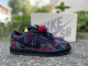 Authentic Nardwuar x Nike SB Dunk Low Pro QS